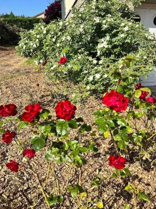 Gite De La Petite Fourmy Saint-Sulpice-les-Feuilles Екстериор снимка